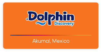 Dolphin Discovery Akumal Logo