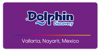Dolphin Discovery Vallarta Logo
