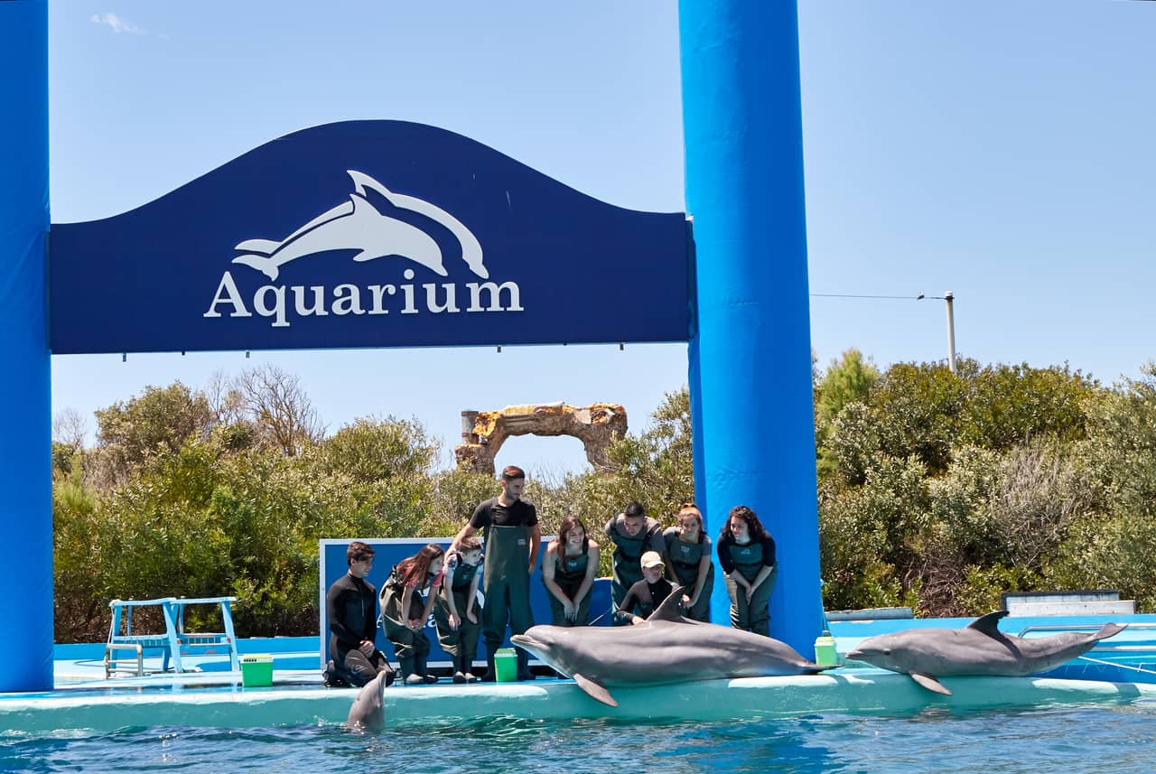 Our Paradise In South America Is Opening Its Doors Again The Dolphin Company