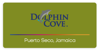 Dolphin Cove Puerto Seco