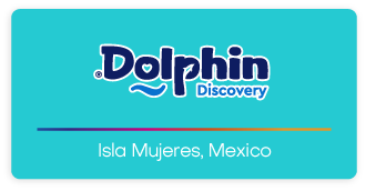 Dolphin Discovery Isla Mujeres Logo