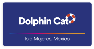Dolphin Cat