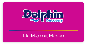 Dolphin Discovery Isla Mujeres Logo