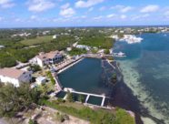 Cove Cayman Swim Adventure (7)