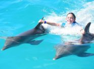 Dolphin Discovery Cayman Swim (3)