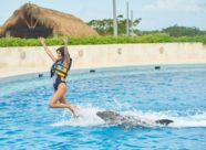 Dolphin Discovery Punta Cana (3)