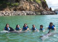 Dolphin Discovery St Kitts (2)