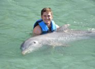Dolphin Discovery St Kitts (3)