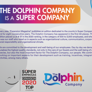 The Dolphin Company Sep-Dic-20