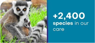 species in our care