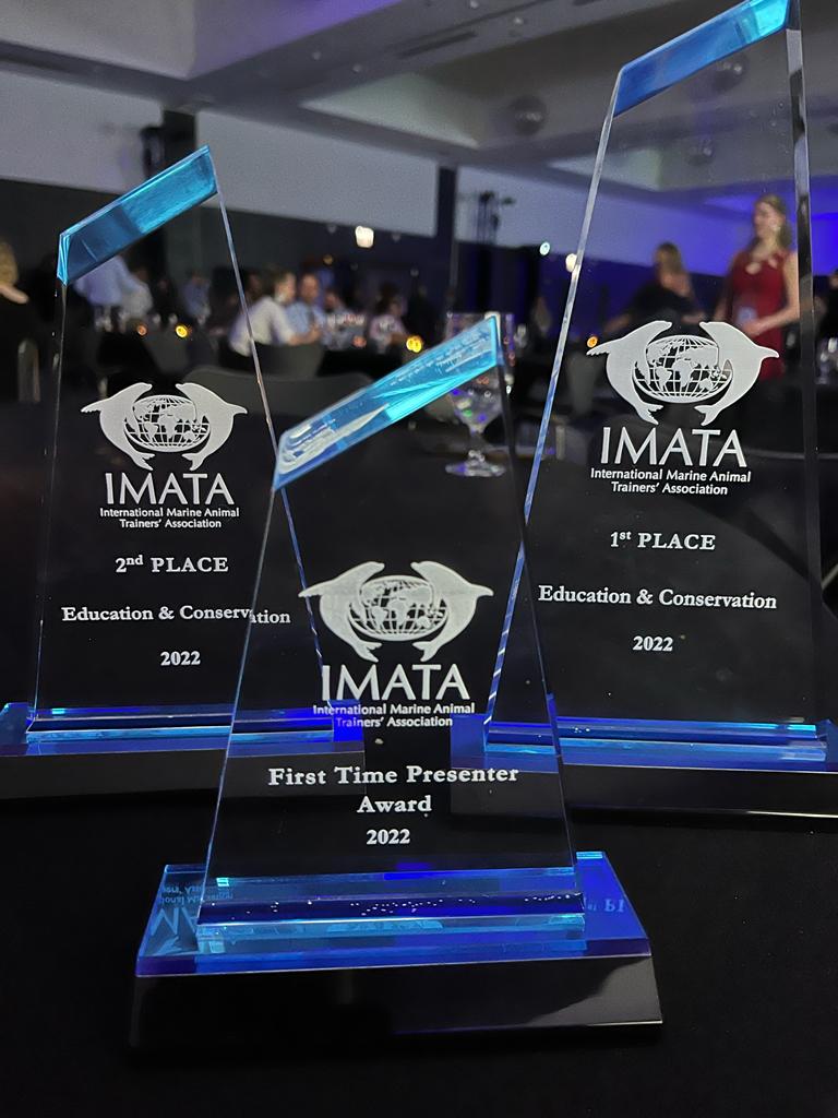 We Received Three Awards During IMATA's Annual Conference The Dolphin