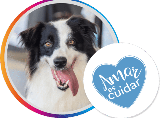 Amar es Cuidar Amar es Cuidar