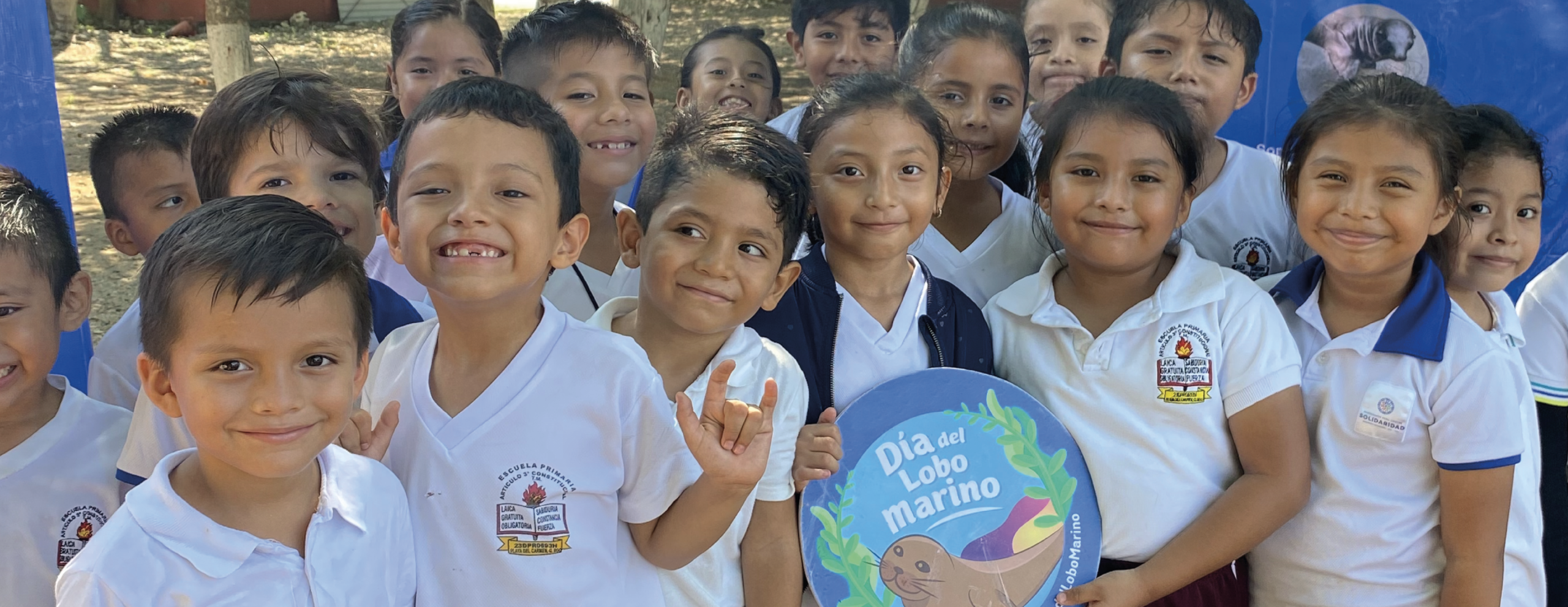 Banner _Amar es educar