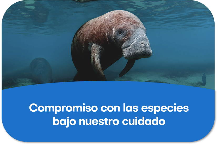 Cuadro texto 1