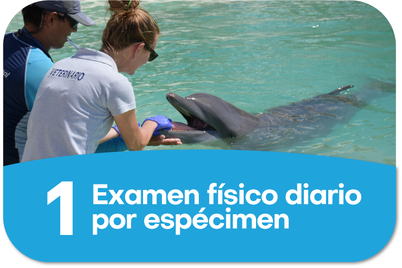 Cuadro texto 3