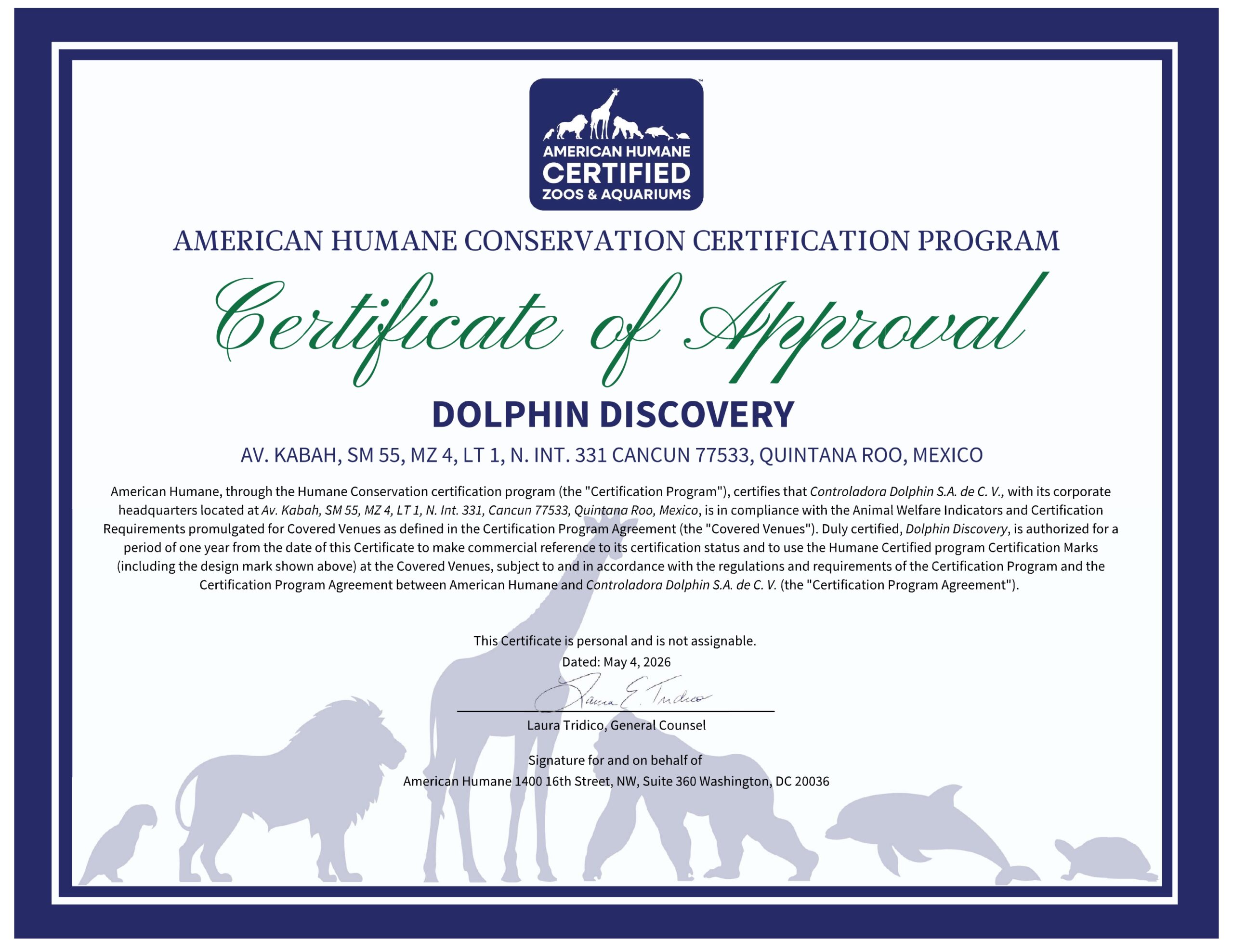 Dolphin_Discovery_1