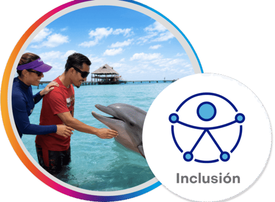 Inclusión Inclusión