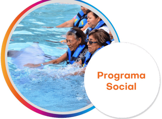 Programa social Programa social