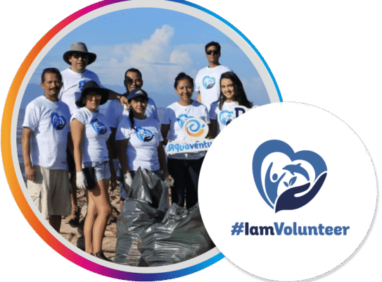 Voluntario Voluntario