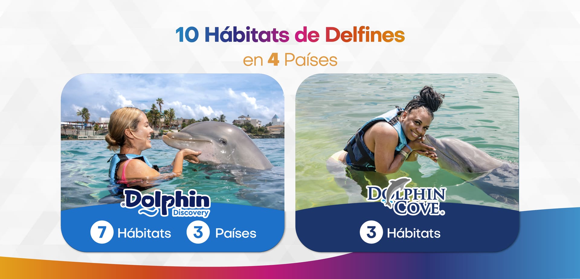 thedolphinco (4)