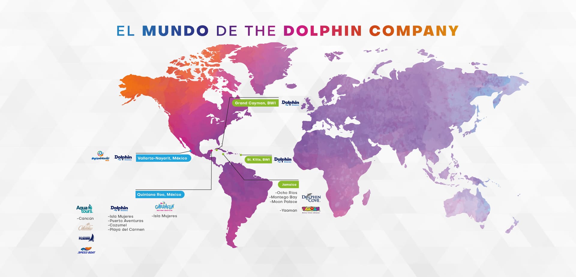 thedolphinco (8)